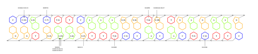 interface graph thumbnail