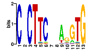 Sequence logo derived only from the contact PWM, readout PWM is considered unreliable logo