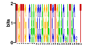 Sequence logo derived only from the contact PWM logo