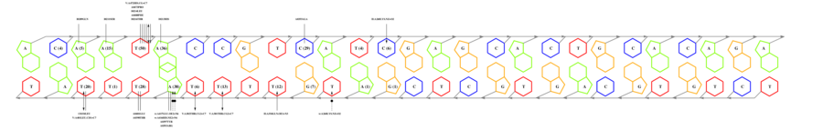 interface graph thumbnail