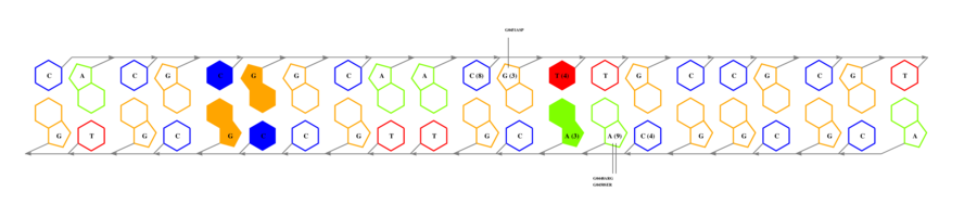 interface graph thumbnail