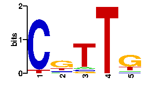 Sequence logo derived only from the contact PWM logo