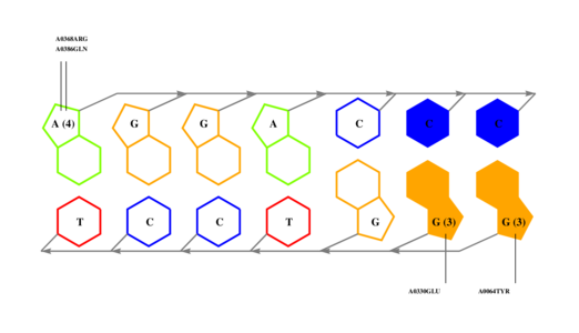 interface graph thumbnail