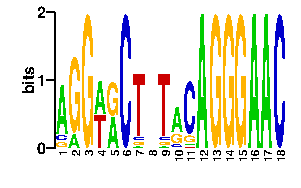 Sequence logo for the mean (readout + contact) position weight matrix (PWM) logo