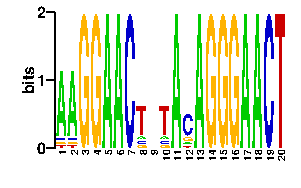Sequence logo derived only from the contact PWM, readout PWM is considered unreliable logo