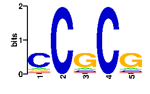 Sequence logo derived only from the contact PWM logo