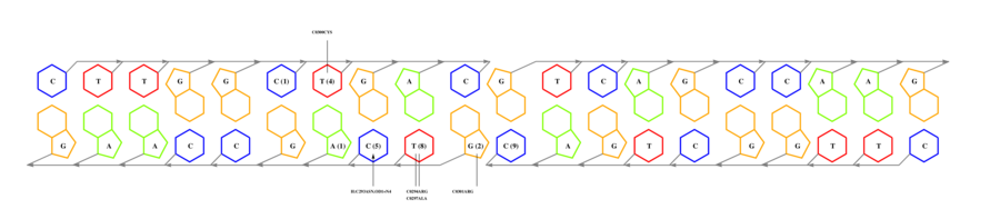 interface graph thumbnail