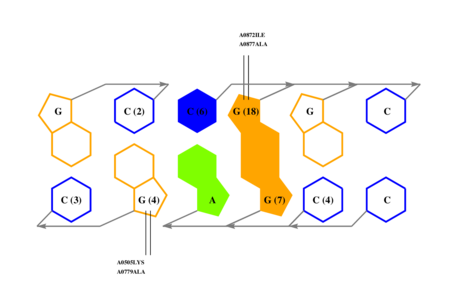 interface graph thumbnail