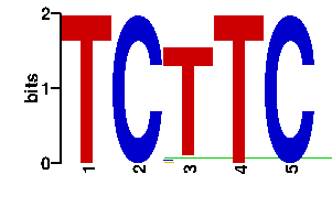 Sequence logo derived only from the contact PWM logo