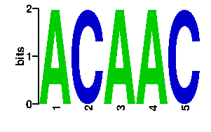 Sequence logo derived only from the contact PWM logo