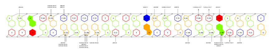 interface graph thumbnail