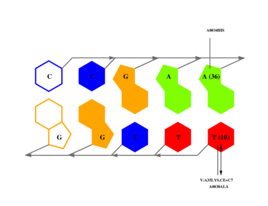 interface graph thumbnail