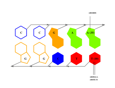 interface graph thumbnail