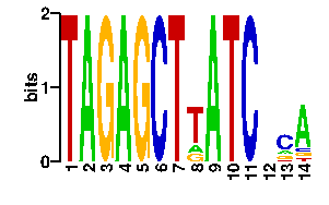 Sequence logo derived only from the contact PWM logo