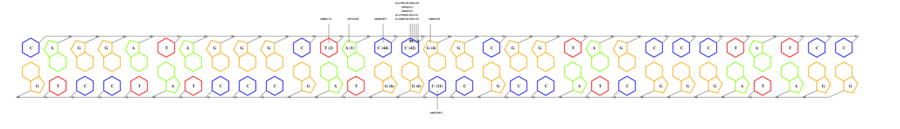 interface graph thumbnail