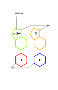 interface graph thumbnail