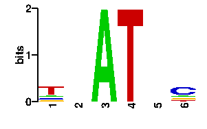 Sequence logo derived only from the contact PWM logo