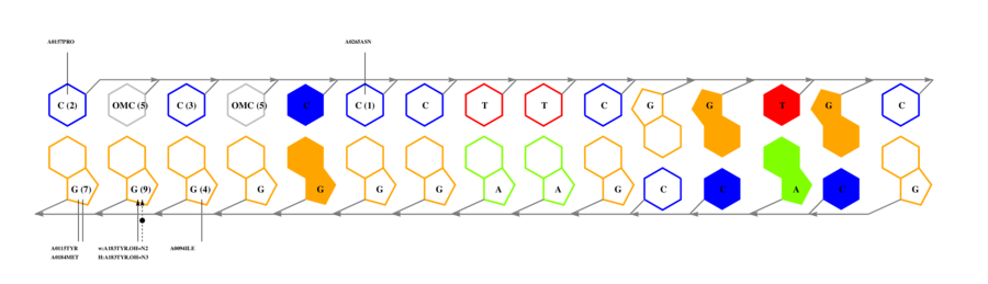 interface graph thumbnail