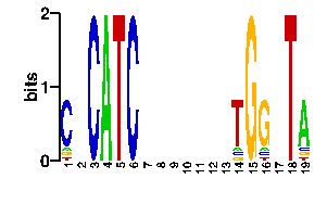 Sequence logo derived only from the contact PWM logo