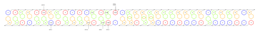 interface graph thumbnail