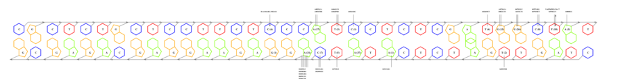 interface graph thumbnail