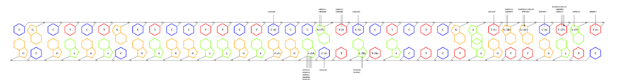 interface graph thumbnail