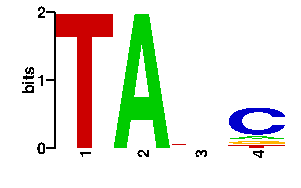 Sequence logo derived only from the contact PWM logo