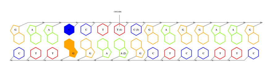 interface graph thumbnail