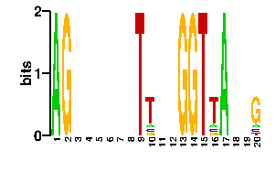 Sequence logo derived only from the contact PWM logo