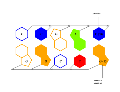 interface graph thumbnail