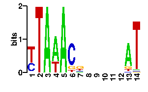 Sequence logo for the mean (readout + contact) position weight matrix (PWM) logo