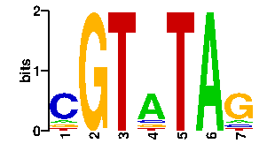 Sequence logo derived only from the contact PWM logo
