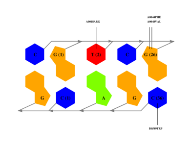 interface graph thumbnail