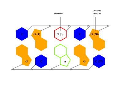 interface graph thumbnail
