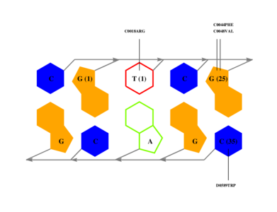 interface graph thumbnail