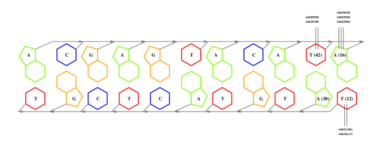 interface graph thumbnail