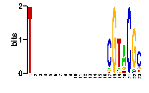 Sequence logo derived only from the contact PWM logo