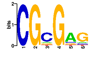 Sequence logo derived only from the contact PWM logo
