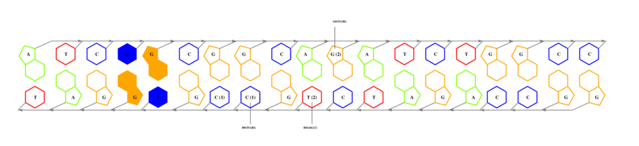 interface graph thumbnail