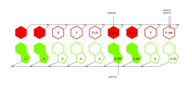 interface graph thumbnail