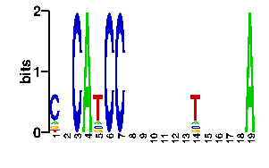 Sequence logo derived only from the contact PWM logo