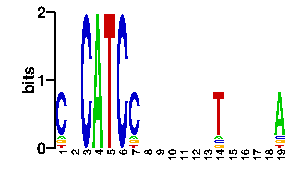 Sequence logo derived only from the contact PWM logo