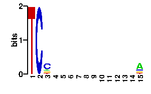 Sequence logo derived only from the contact PWM logo