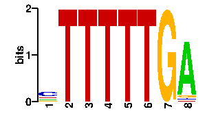Sequence logo derived only from the contact PWM logo