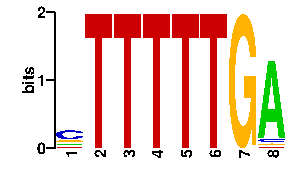 Sequence logo derived only from the contact PWM logo