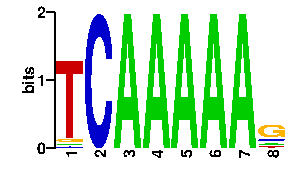 Sequence logo derived only from the contact PWM logo