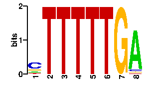 Sequence logo derived only from the contact PWM logo