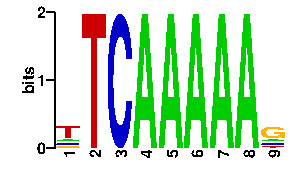 Sequence logo derived only from the contact PWM logo