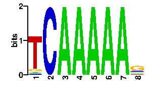 Sequence logo derived only from the contact PWM logo