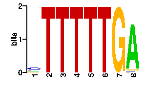 Sequence logo derived only from the contact PWM logo